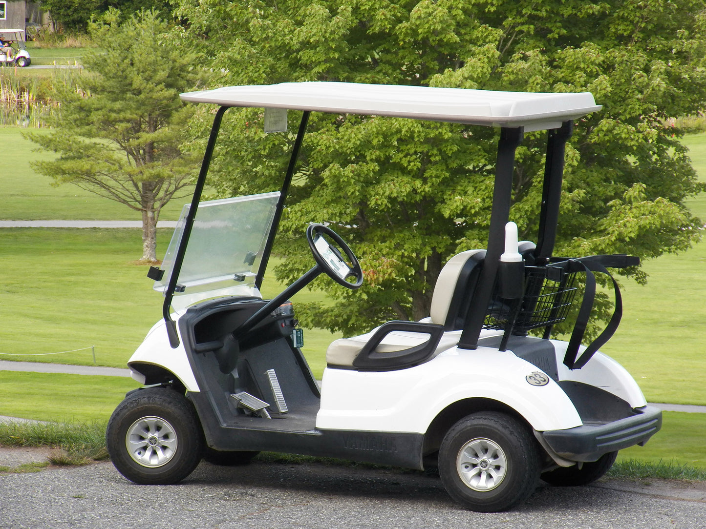 Golf Car Battery Delivery/Install