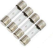 4.0A 250V Slow Blow Glass Fuse 4 pack