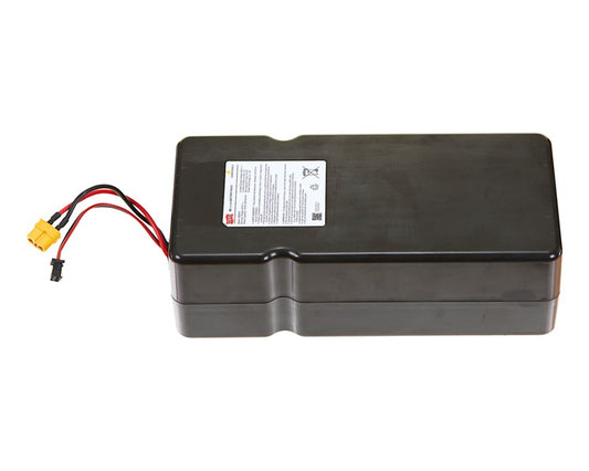 Rambler 20 TRL, EcoSmart Cargo, C45 48V Lithium Battery