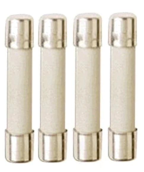 20A 250V ABC Ceramic Fuse 4 pack