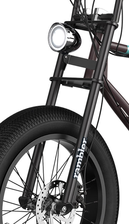 Rambler 20 Front Fork Assembly + HW