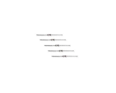 10 Ohm 1/4W Resistor 5pk